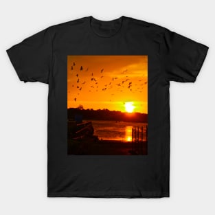 Sunset in Sydney ! T-Shirt